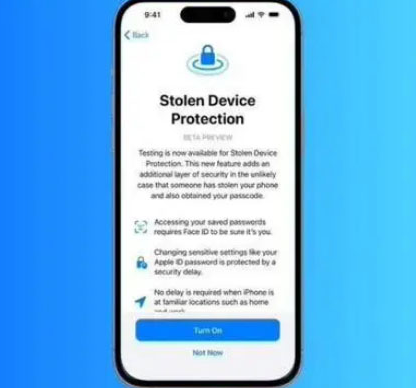 白河苹果授权维修店分享被盗设备保护功能开启方法 