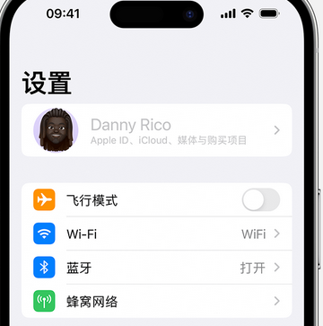 白河appleID维修服务iPhone设置中Apple ID显示为灰色无法使用 