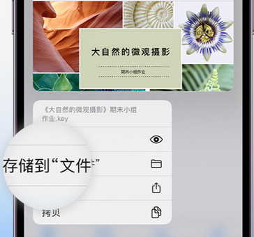 白河apple维修中心分享iPhone文件应用中存储和找到下载文件