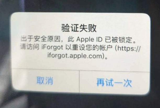 白河iPhone维修分享iPhone上正常登录或使用AppleID怎么办 