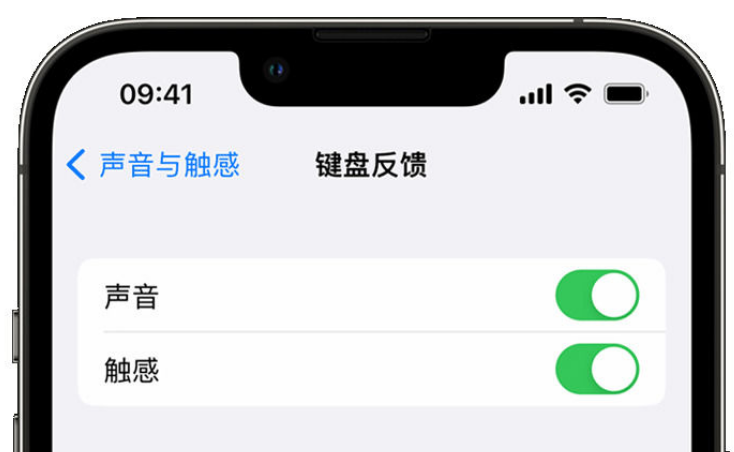 白河苹果手机维修分享iPhone 14触感键盘使用方法 