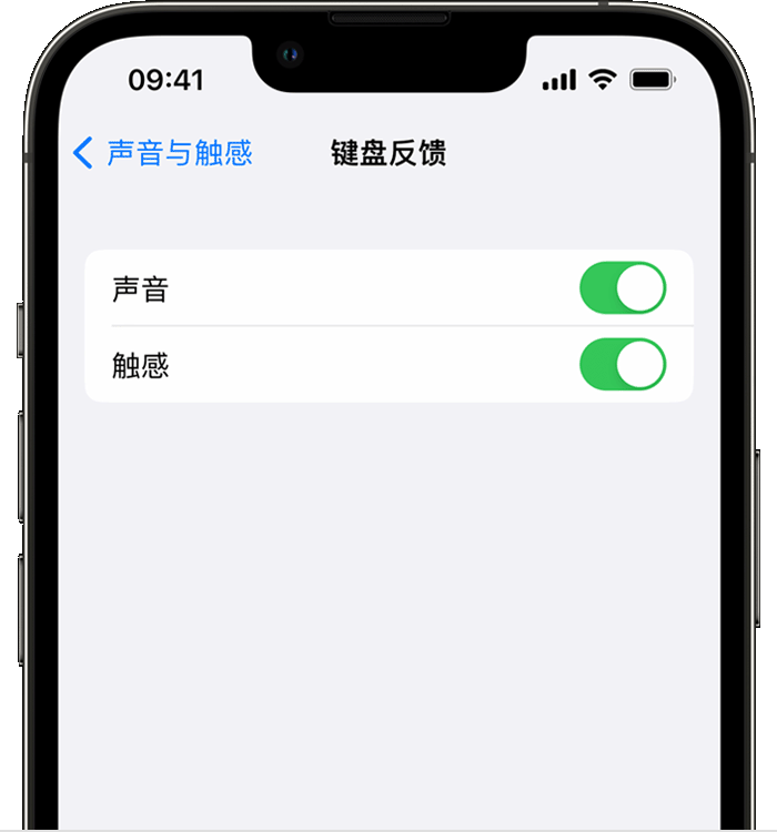 白河苹果14维修店分享如何在 iPhone 14 机型中使用触感键盘 