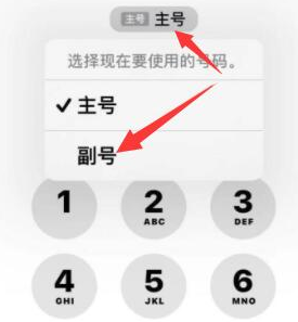 白河苹果14维修店分享iPhone 14 Pro Max使用副卡打电话的方法 