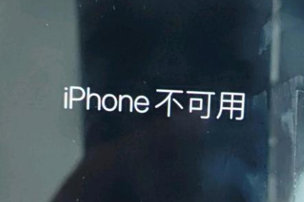 白河苹果服务网点分享锁屏界面显示“iPhone 不可用”如何解决 