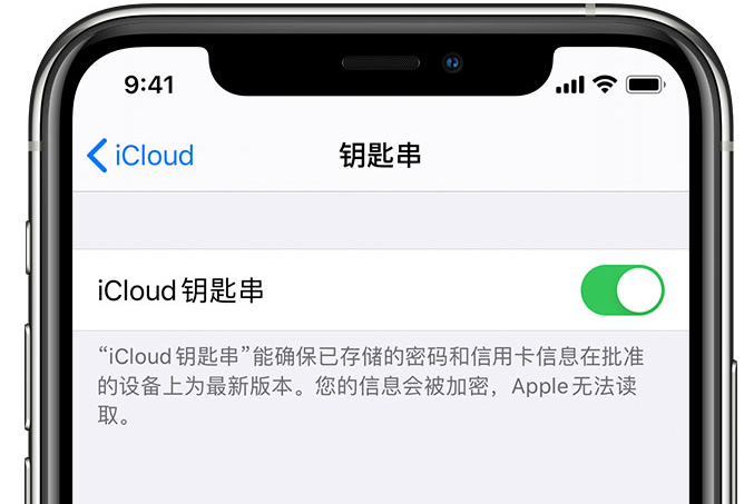 白河苹果手机维修分享在 iPhone 上开启 iCloud 钥匙串之后会储存哪些信息 